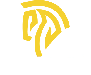 EasySMX
